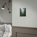 Muurdecoratie met een mistig bospad - Poster 