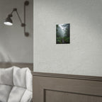 Muurdecoratie met een mistig bospad - Poster 