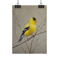 Goudvink Kunst Poster - Gele Zangvogel Print voor Natuurliefhebbers