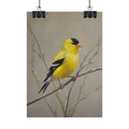 Goudvink Kunst Poster - Gele Zangvogel Print voor Natuurliefhebbers