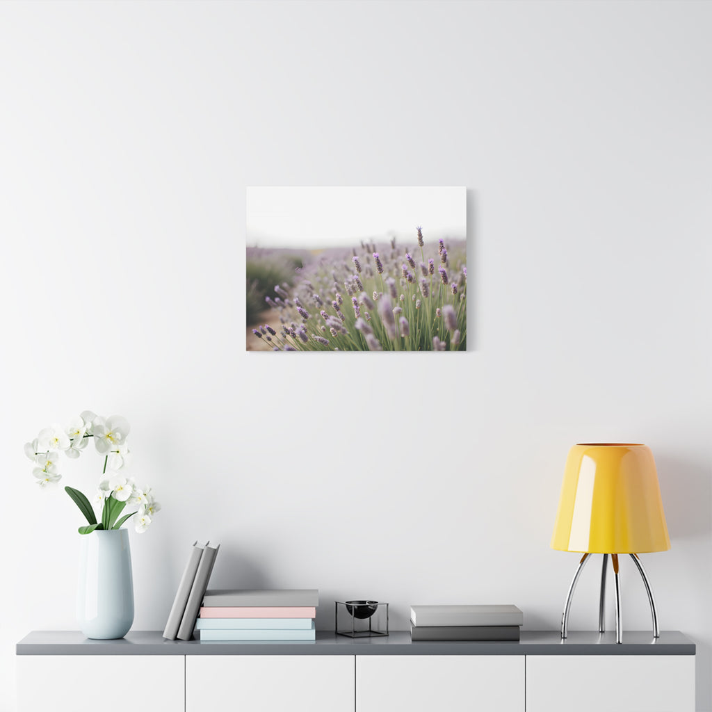 Lavender Field Wall Art – Stretched Canvas