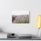 Lavender Field Wall Art – Stretched Canvas