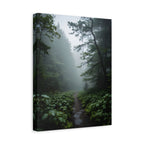 Misty Forest Path  Stretched Wall Art - Canvas Print