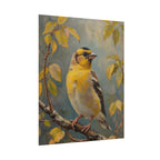 Goldfinch on a branch Wall Art - Poster