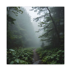 Misty Forest Path  Stretched Wall Art - Canvas Print