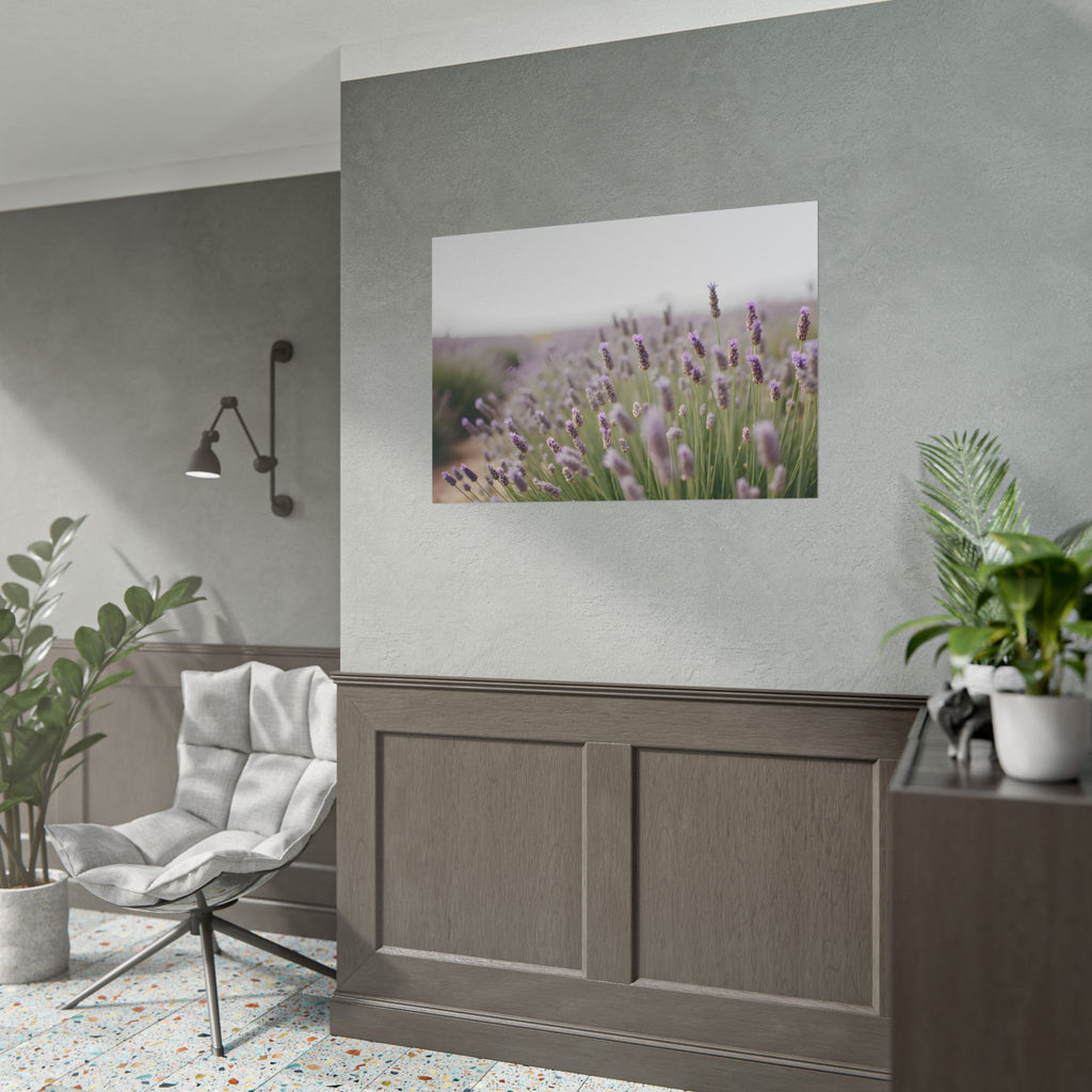Muurdecoratie met lavendelveld – Poster 