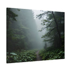 Misty Forest Path  Stretched Wall Art - Canvas Print