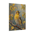 Goldfinch on a branch Wall Art - Poster