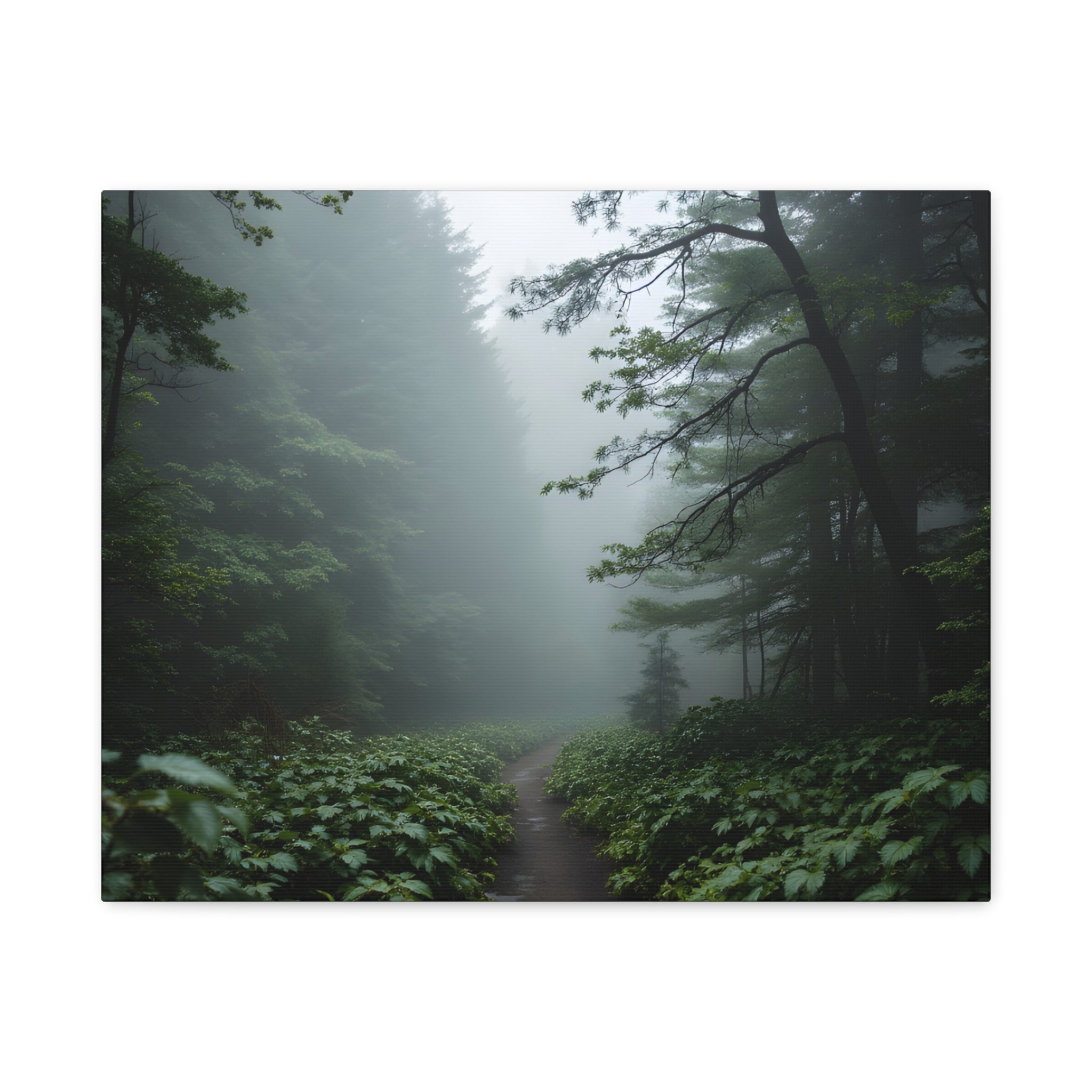 Misty Forest Path  Stretched Wall Art - Canvas Print