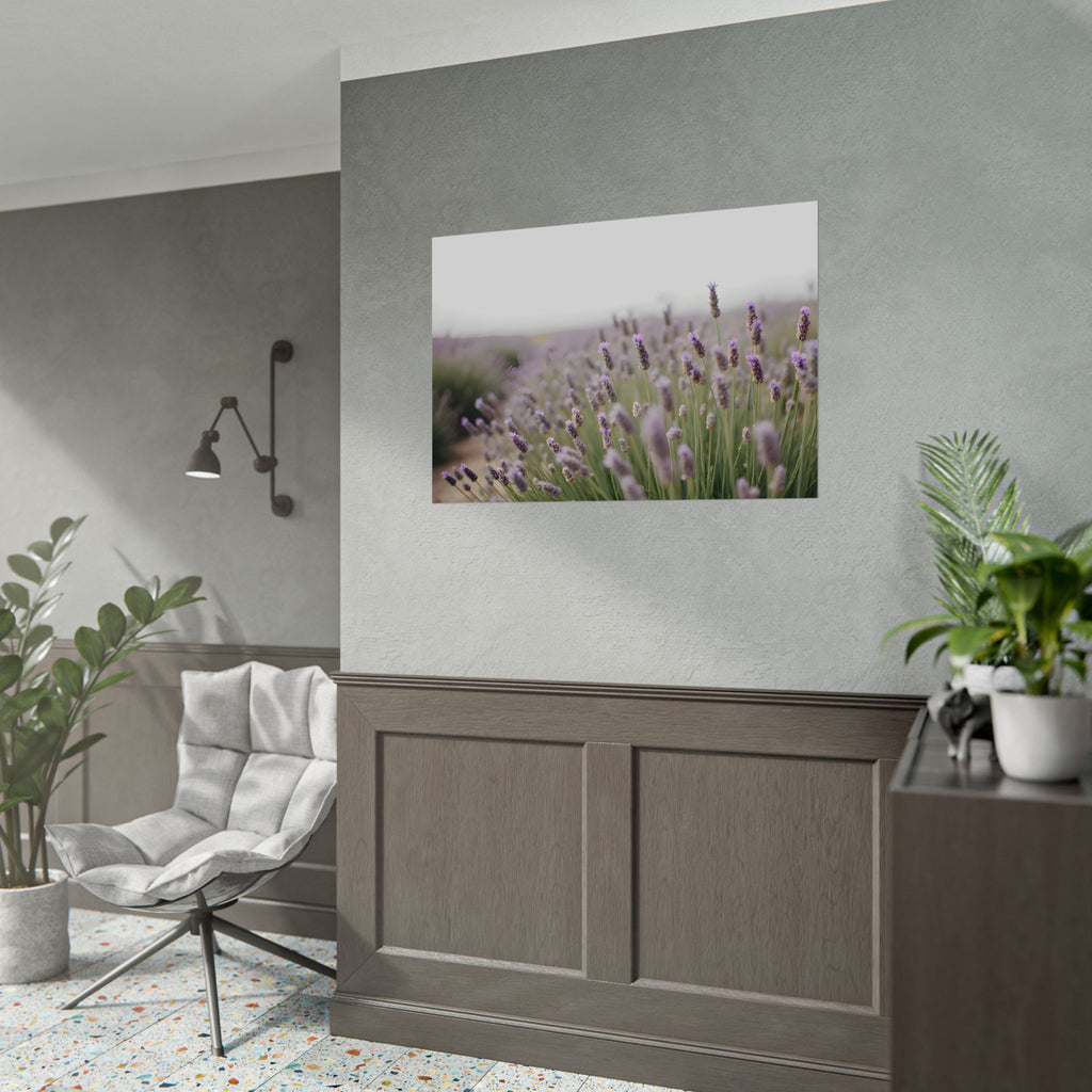 Muurdecoratie met lavendelveld – Poster 