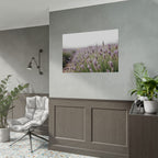 Muurdecoratie met lavendelveld – Poster 