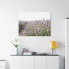 Lavender Field Wall Art – Stretched Canvas