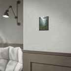 Muurdecoratie met een mistig bospad - Poster 