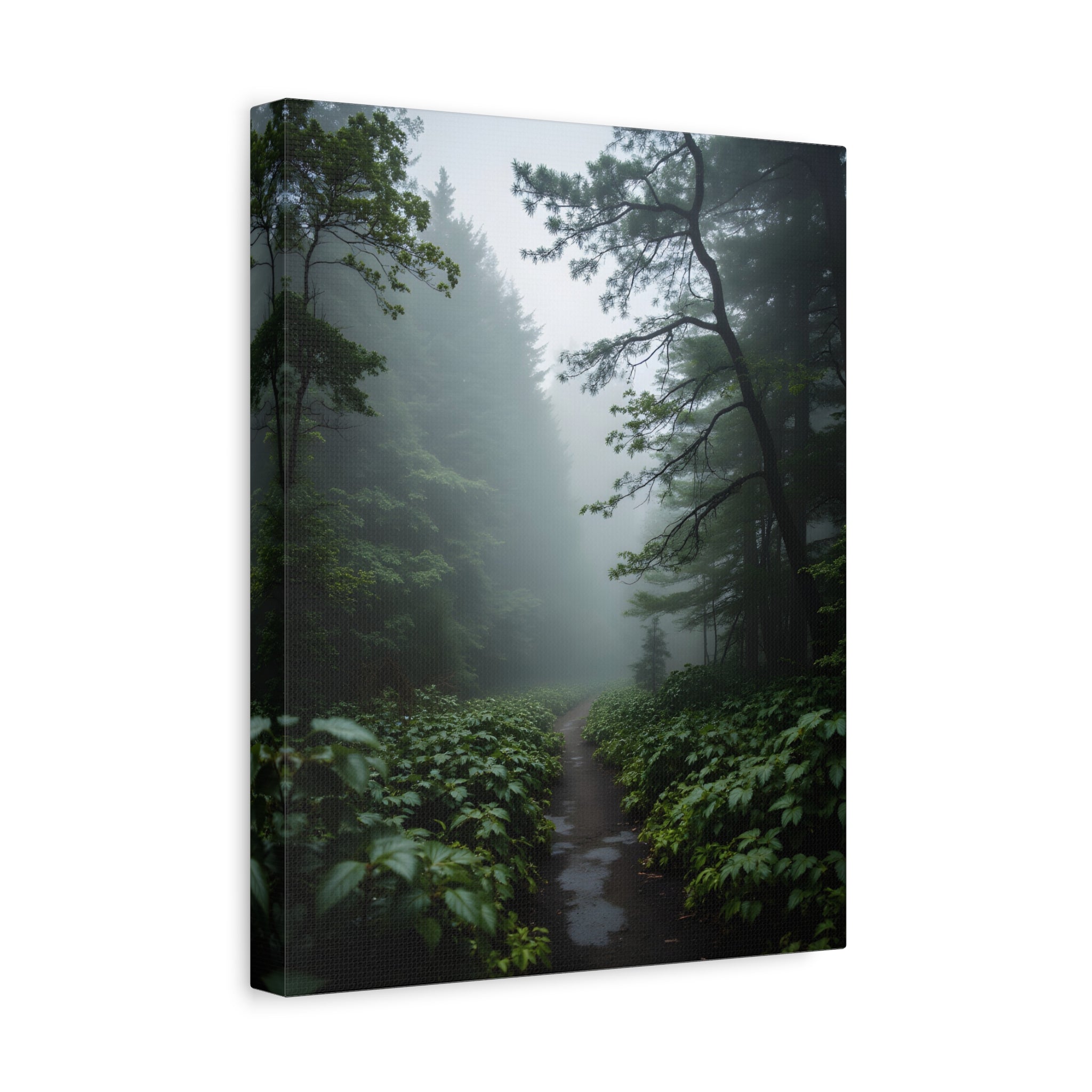 Misty Forest Path  Stretched Wall Art - Canvas Print