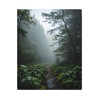 Misty Forest Path  Stretched Wall Art - Canvas Print