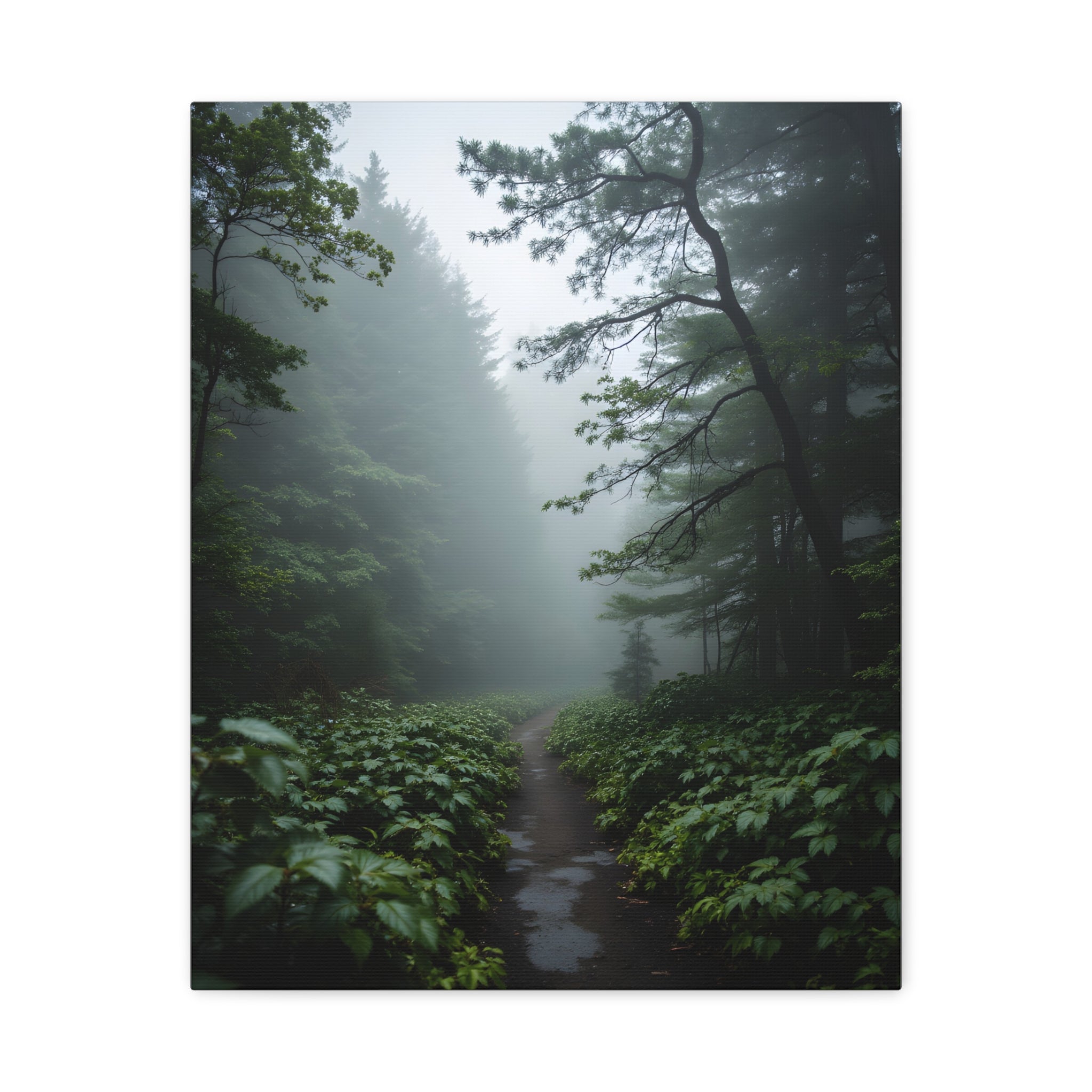 Misty Forest Path  Stretched Wall Art - Canvas Print