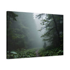 Misty Forest Path  Stretched Wall Art - Canvas Print