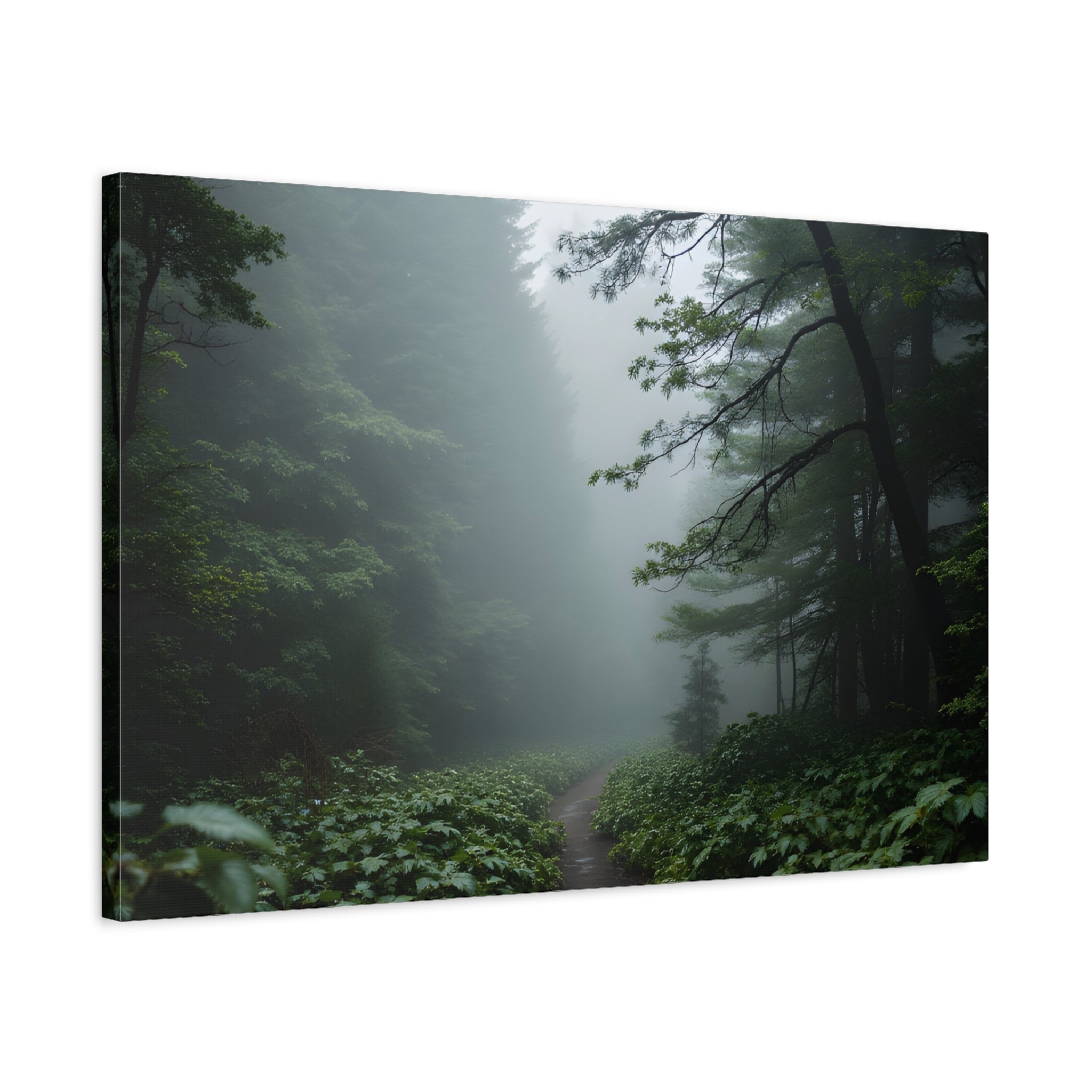 Misty Forest Path  Stretched Wall Art - Canvas Print