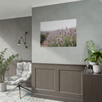 Muurdecoratie met lavendelveld – Poster 