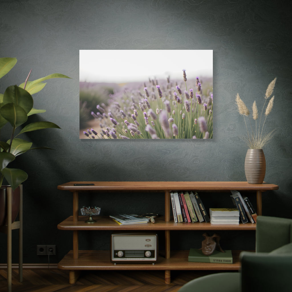 Lavender Field Wall Art – Stretched Canvas