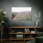 Lavender Field Wall Art – Stretched Canvas