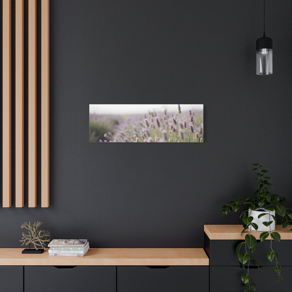 Lavender Field Wall Art – Stretched Canvas