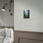 Muurdecoratie met een mistig bospad - Poster 