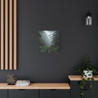 Misty Forest Path  Stretched Wall Art - Canvas Print