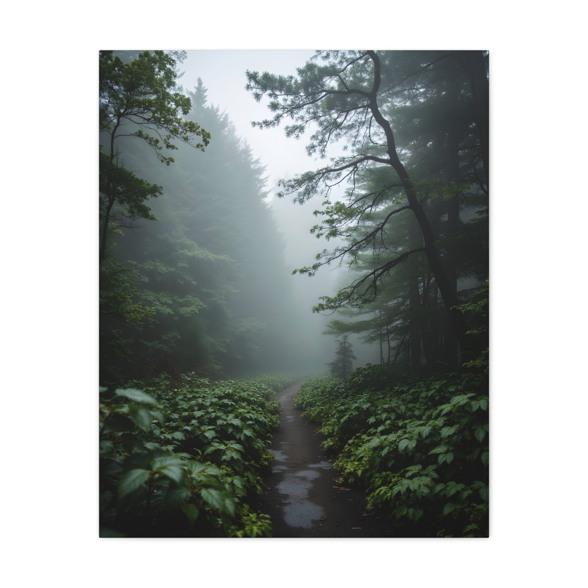 Misty Forest Path  Stretched Wall Art - Canvas Print
