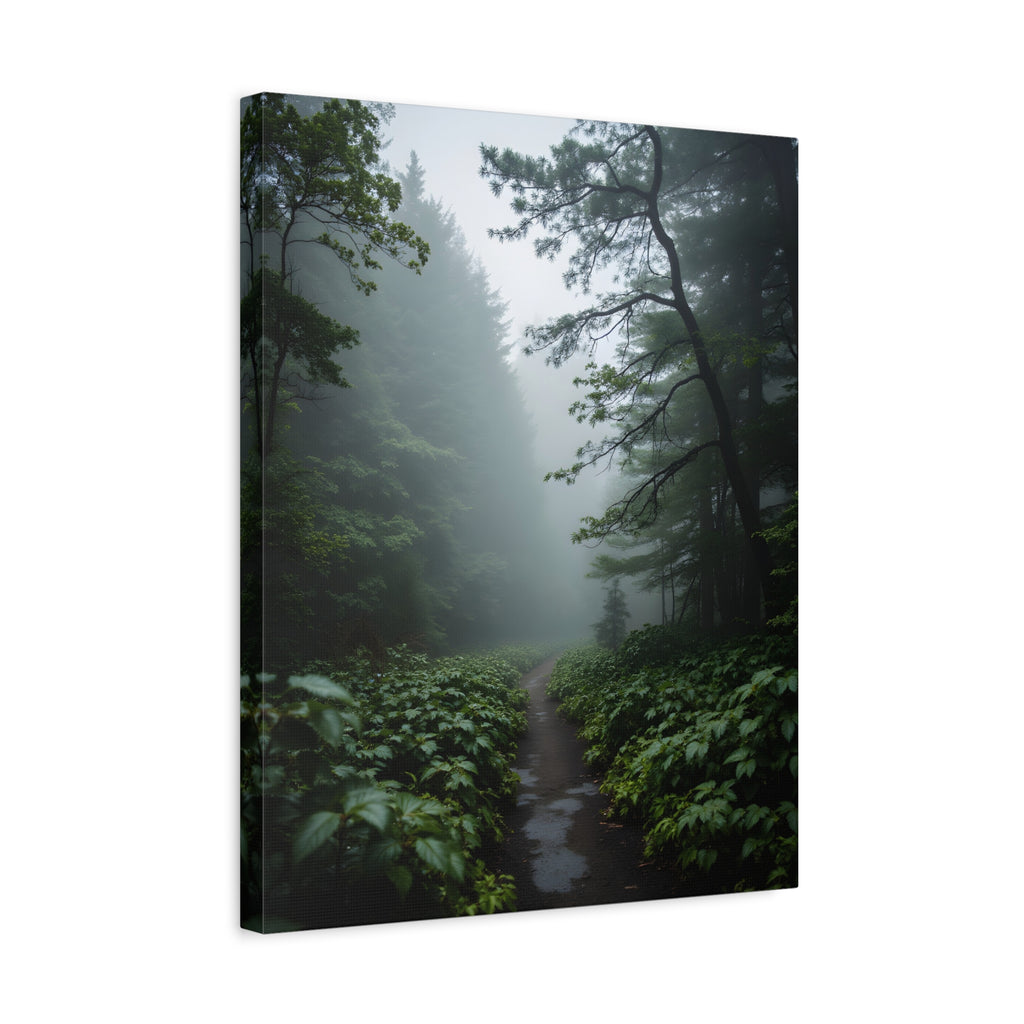 Misty Forest Path  Stretched Wall Art - Canvas Print