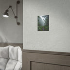 Muurdecoratie met een mistig bospad - Poster 
