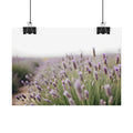 Muurdecoratie met lavendelveld – Poster 