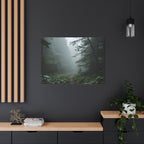 Misty Forest Path  Stretched Wall Art - Canvas Print