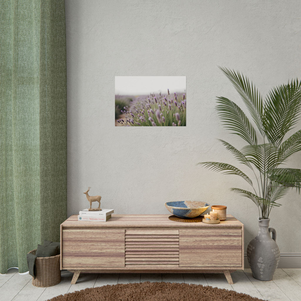 Muurdecoratie met lavendelveld – Poster 