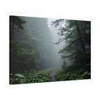 Misty Forest Path  Stretched Wall Art - Canvas Print