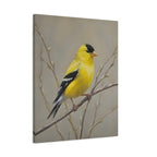 Goldfinch Wall Art Canvas — Yellow Songbird Painting on Branch, Matte Stretched Canvas