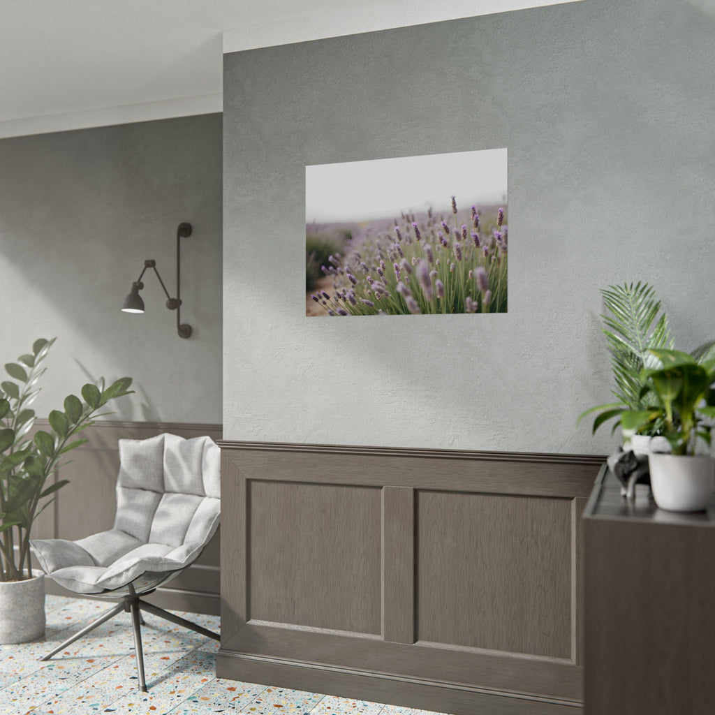 Muurdecoratie met lavendelveld – Poster 