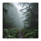 Misty Forest Path  Stretched Wall Art - Canvas Print
