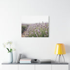 Lavender Field Wall Art – Stretched Canvas