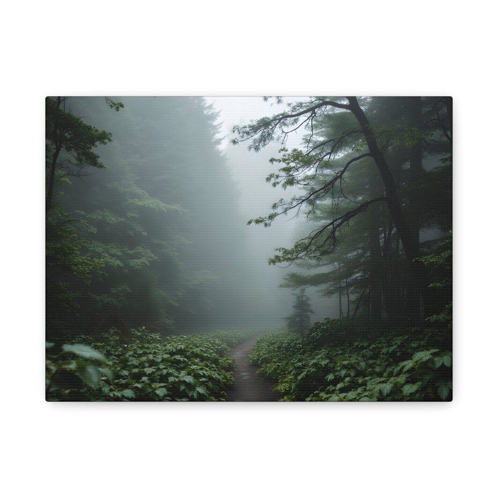 Misty Forest Path  Stretched Wall Art - Canvas Print