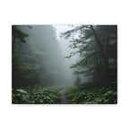 Misty Forest Path  Stretched Wall Art - Canvas Print