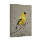 Goldfinch Wall Art Canvas — Yellow Songbird Painting on Branch, Matte Stretched Canvas