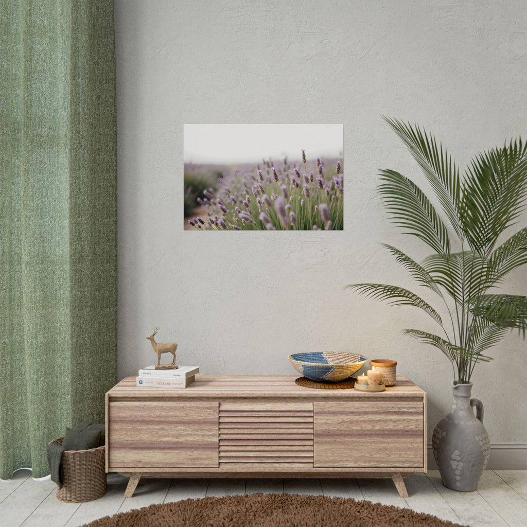 Muurdecoratie met lavendelveld – Poster 