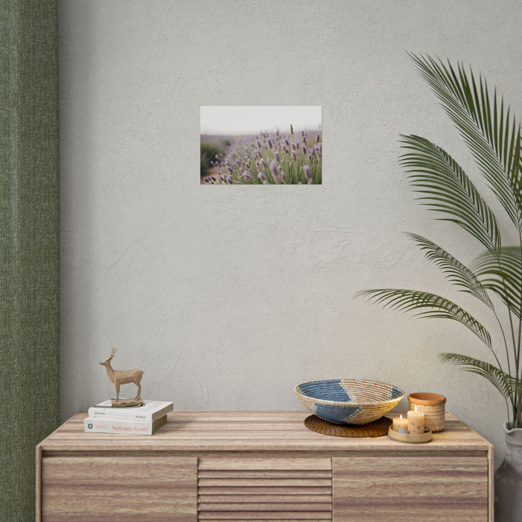 Muurdecoratie met lavendelveld – Poster 