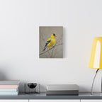 Goldfinch Wall Art Canvas — Yellow Songbird Painting on Branch, Matte Stretched Canvas