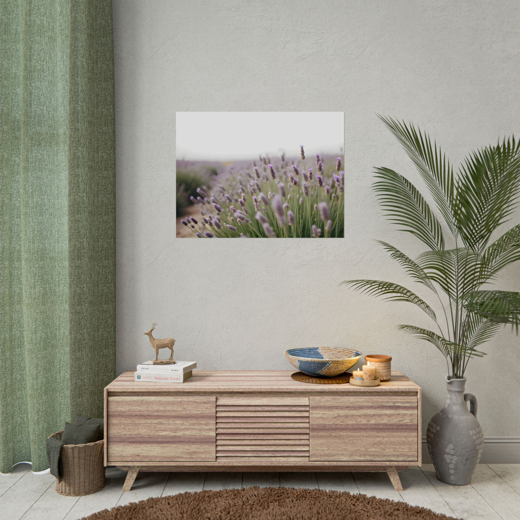 Muurdecoratie met lavendelveld – Poster 