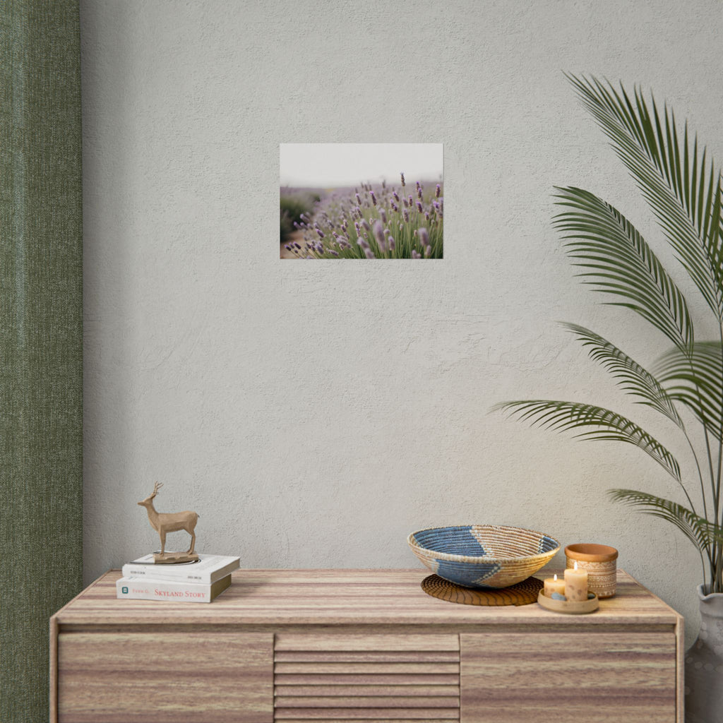 Muurdecoratie met lavendelveld – Poster 