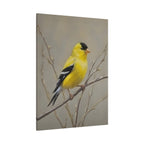 Goldfinch Wall Art Canvas — Yellow Songbird Painting on Branch, Matte Stretched Canvas