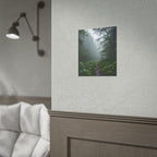 Muurdecoratie met een mistig bospad - Poster 
