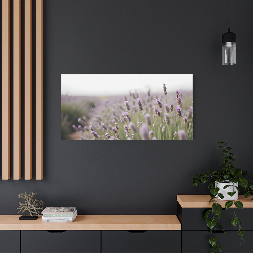 Lavender Field Wall Art – Stretched Canvas